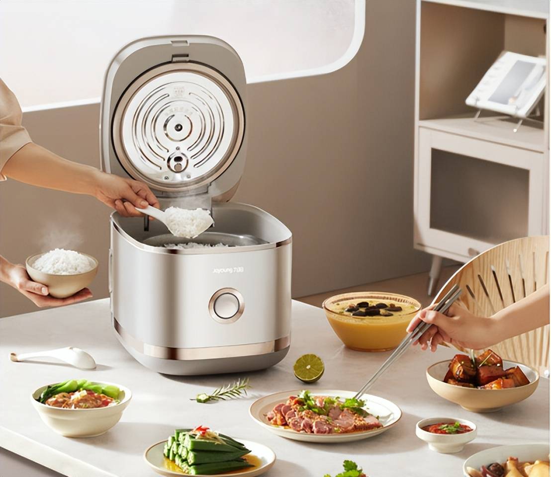 名：大力推荐这十个佳品必须收藏！凯发k8国际中国电饭锅排行前十(图12)