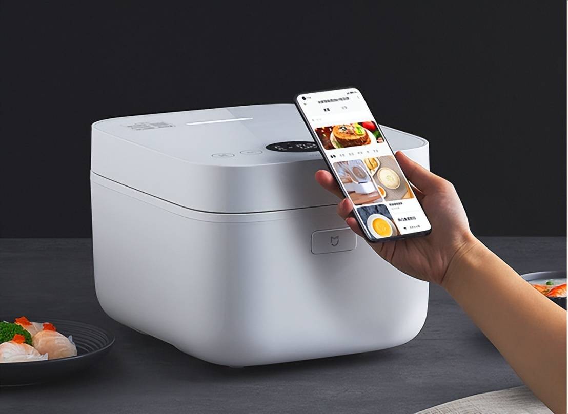 名：大力推荐这十个佳品必须收藏！凯发k8国际中国电饭锅排行前十(图15)